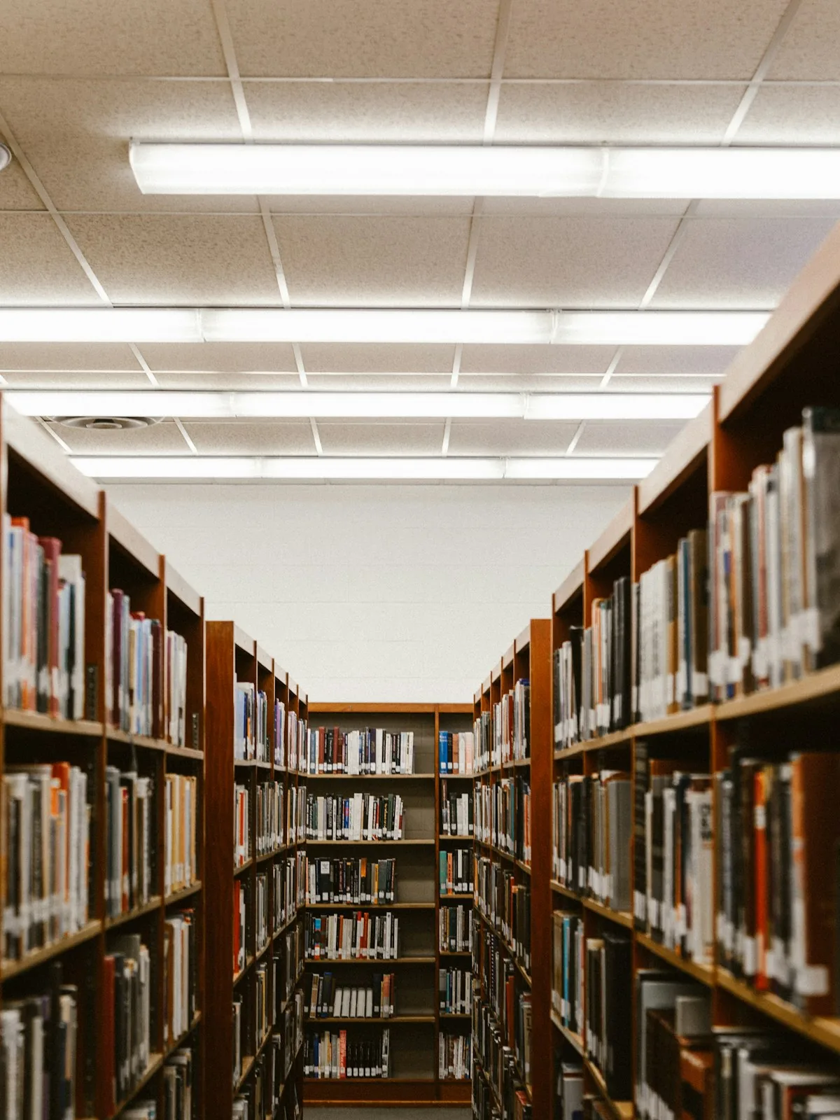 Mimar Sinan Güzel Sanatlar Üniversitesi